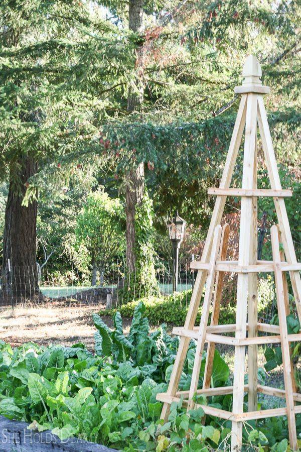 Garden Pyramid Trellis Ideas To Try This Year Sharonsable