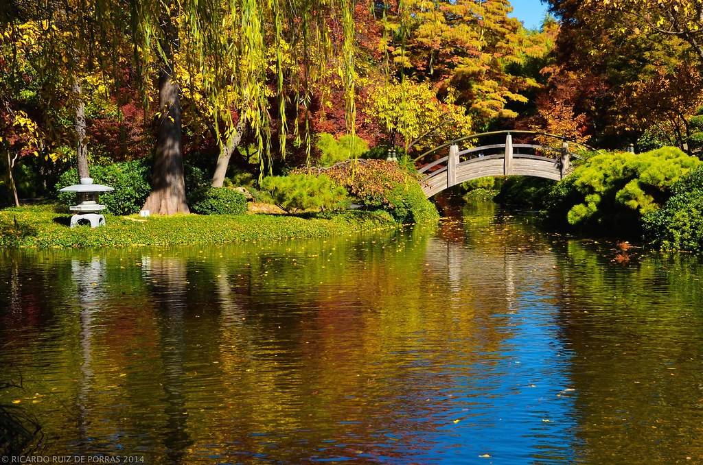 Fall Japanese Garden Fort Worth Ideas You Cannot Miss Sharonsable