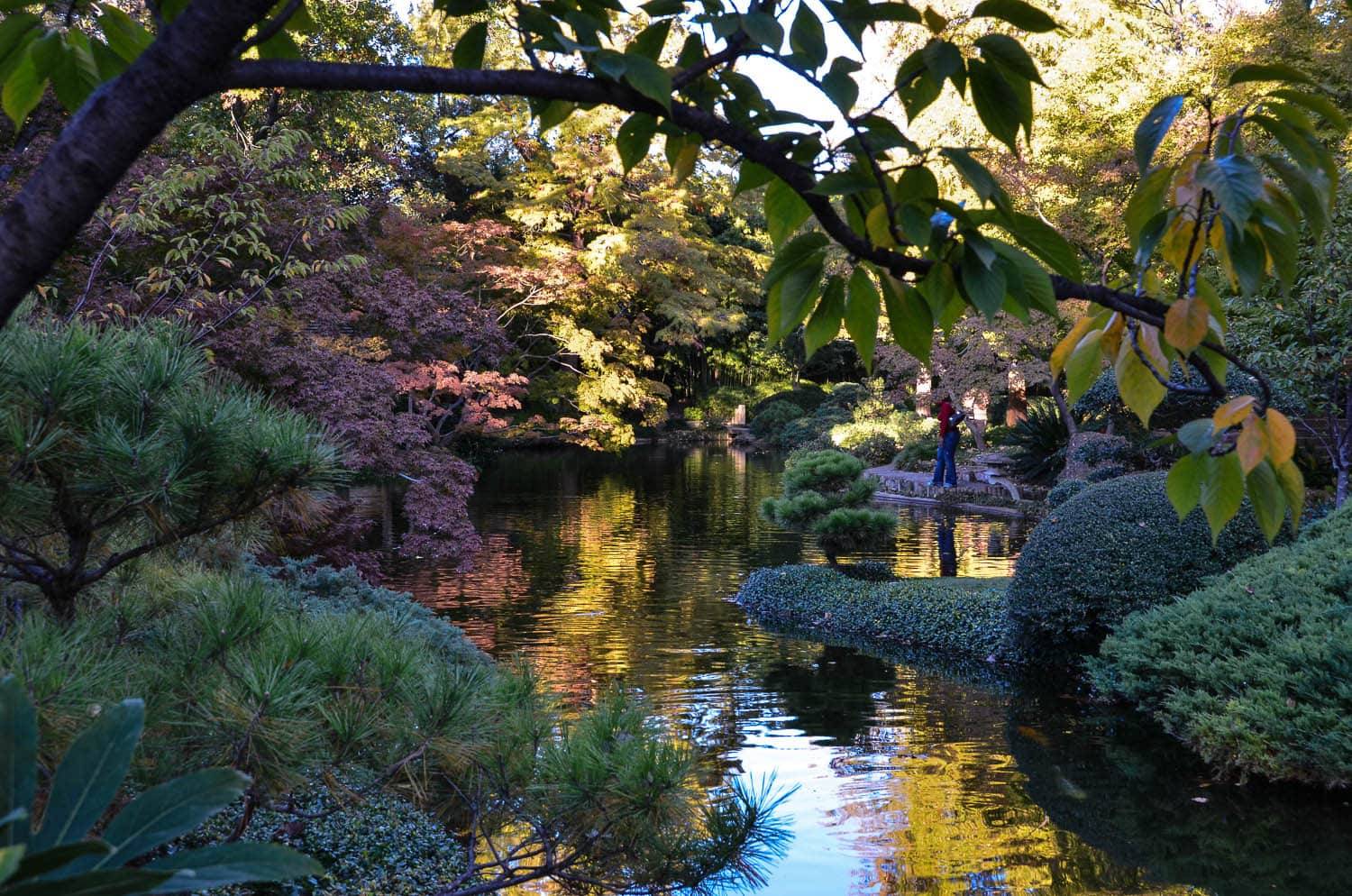 Japanese Botanical Garden Fort Worth Ideas To Try This Year