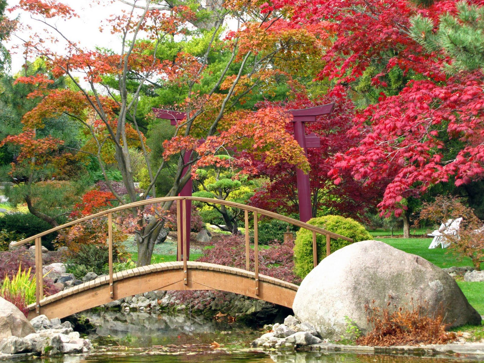 17 Japanese Garden Desktop Ideas You Cannot Miss SharonSable