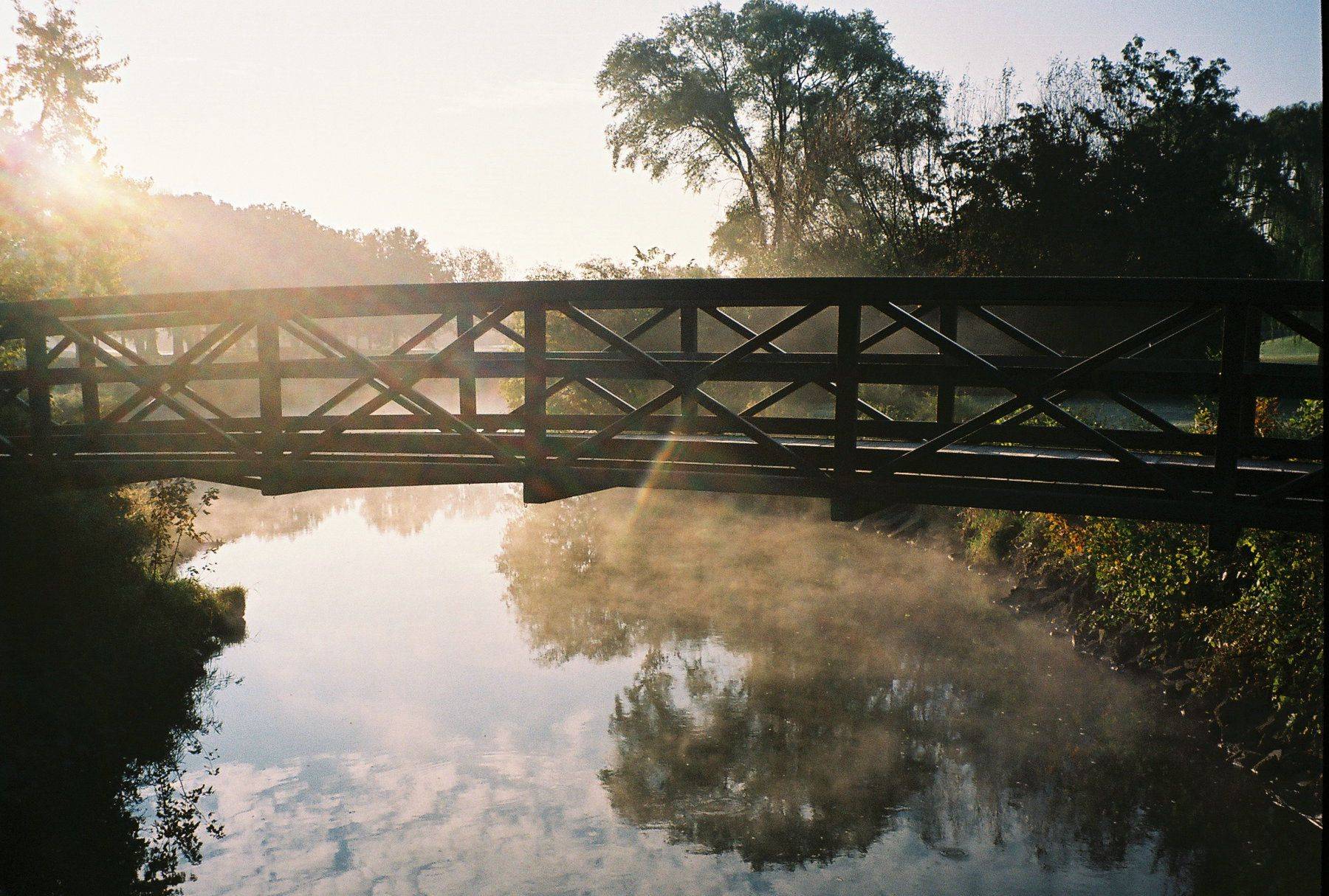 Build A North West Garden Bridge Ideas You Should Look Sharonsable