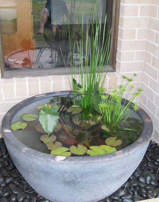 18 Water Garden Containers Large Ideas To Consider SharonSable