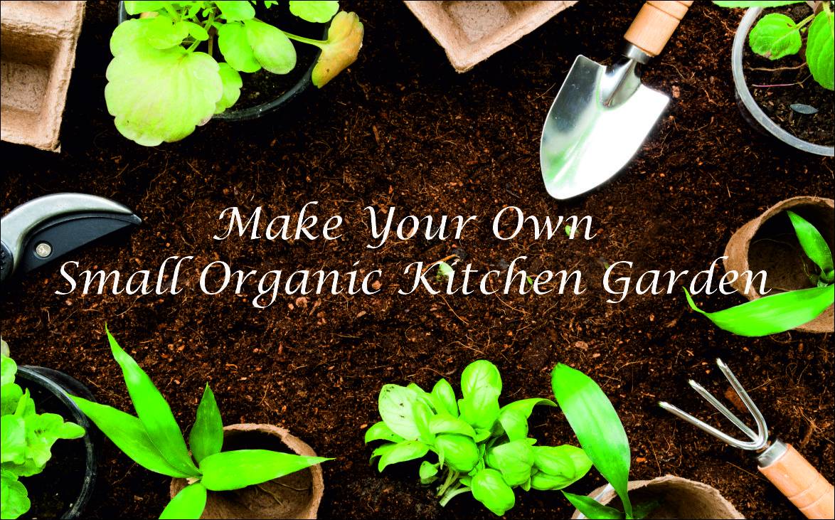 19 Make Your Own Organic Garden Ideas Worth A Look SharonSable