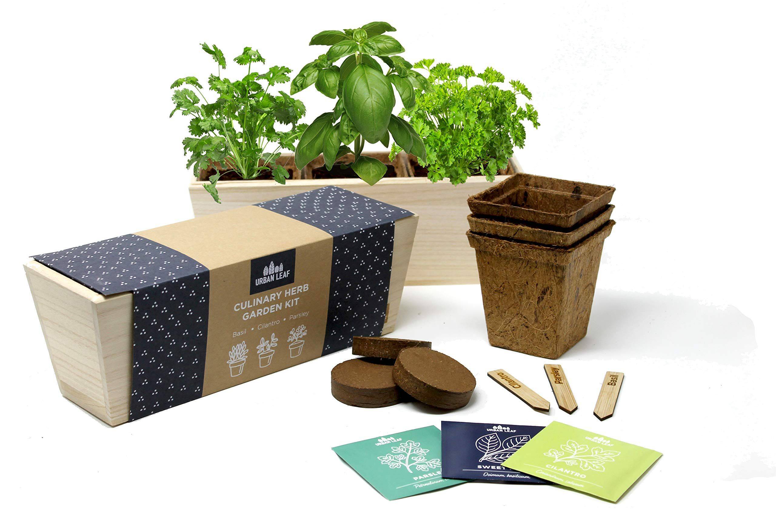 Best Indoor Herb Garden Kits Ideas For This Year Sharonsable