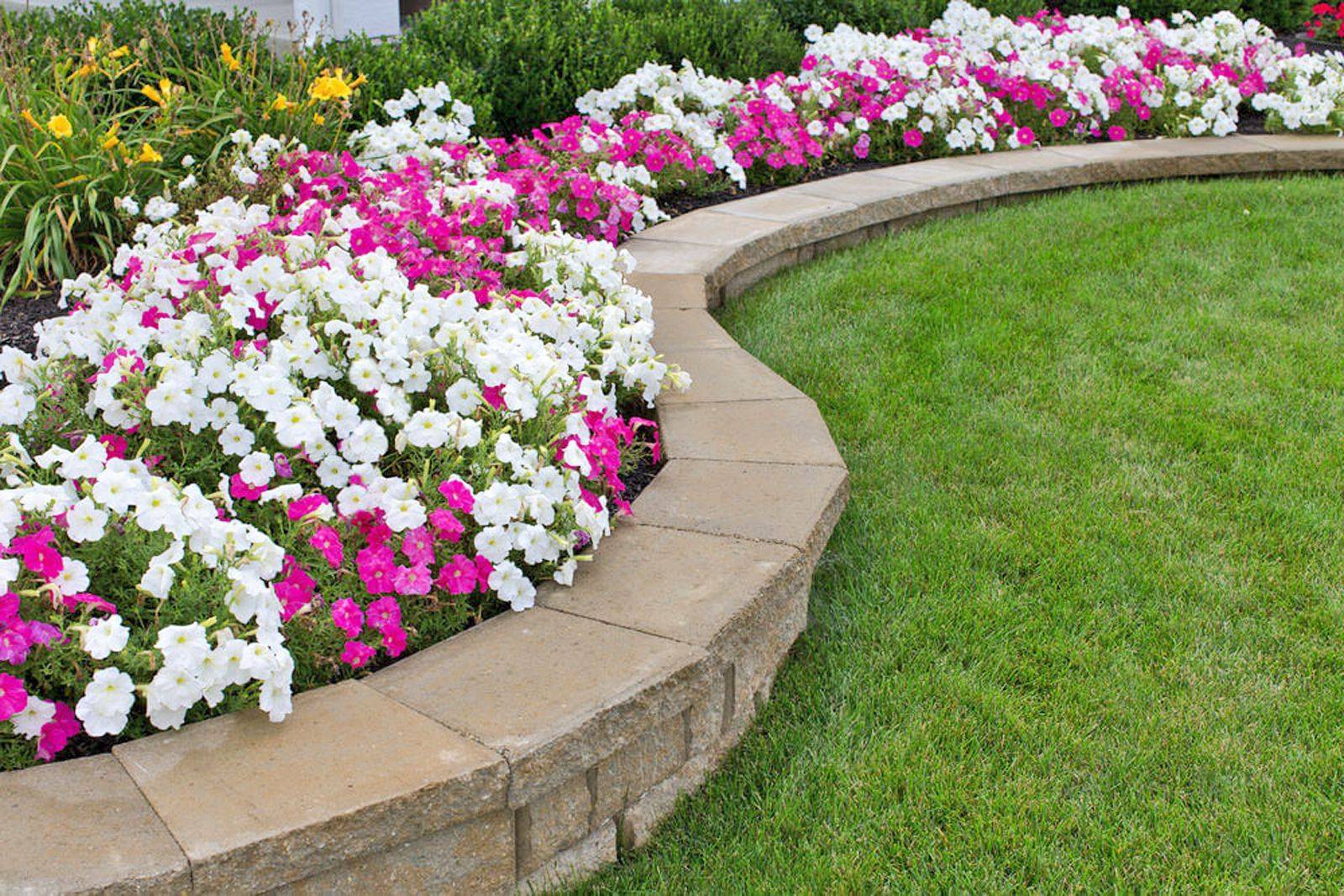 Garden Border Design Ideas For This Year Sharonsable