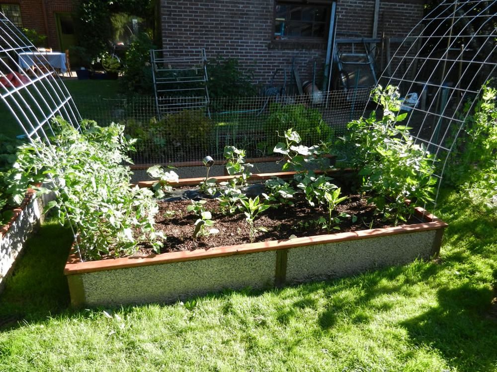 12 Lifetime Raised Garden Bed Kit Ideas You Cannot Miss SharonSable