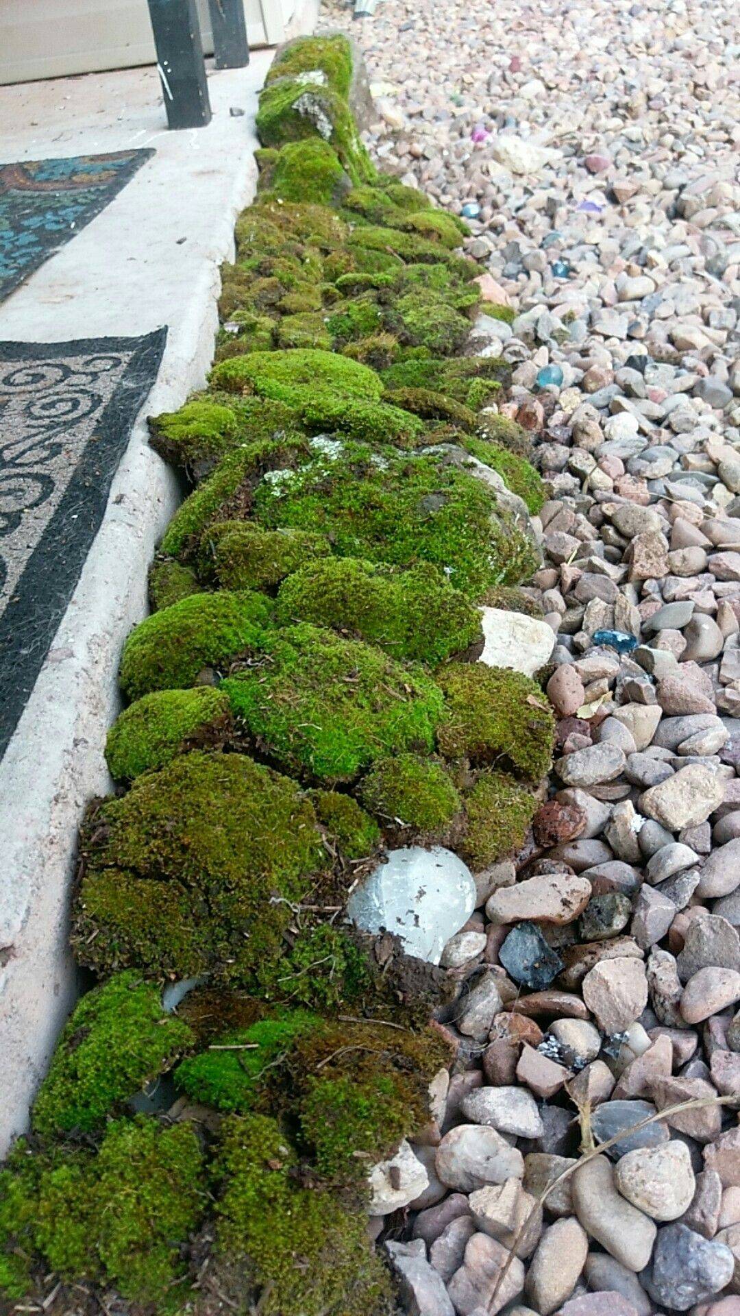 Moss Garden Ideas You Must Look Sharonsable