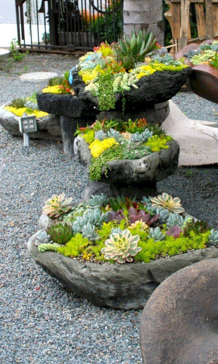 Diy Succulent Rock Garden Ideas To Consider Sharonsable