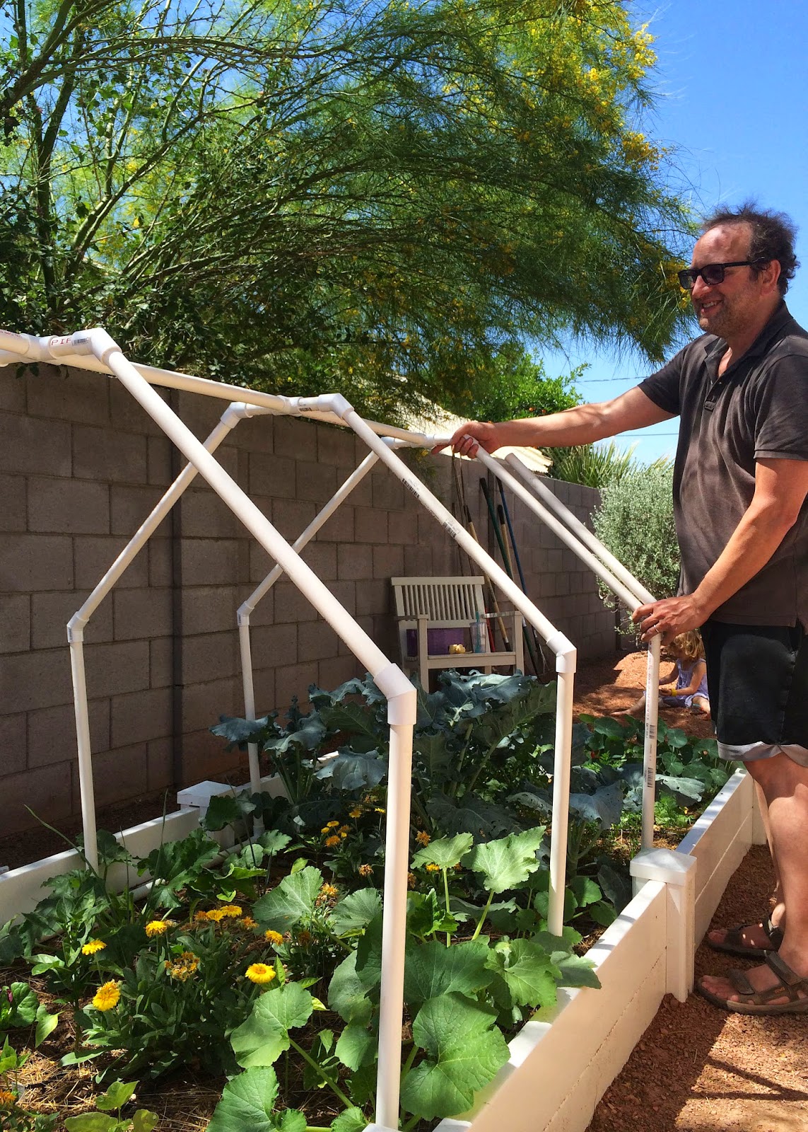 Vegetable Garden Sun Shade Ideas To Try This Year Sharonsable