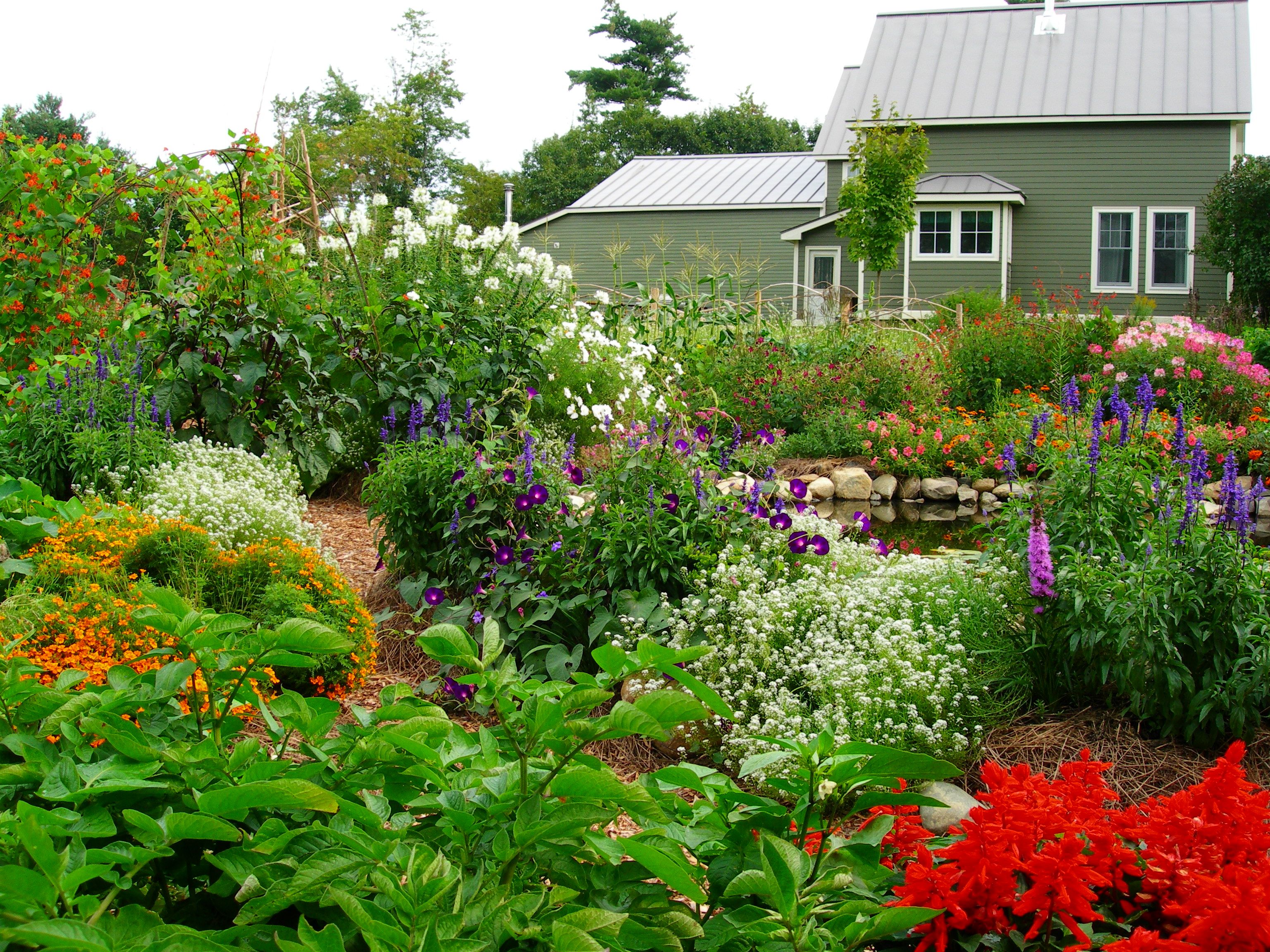 Permaculture Garden Ideas You Should Look Sharonsable