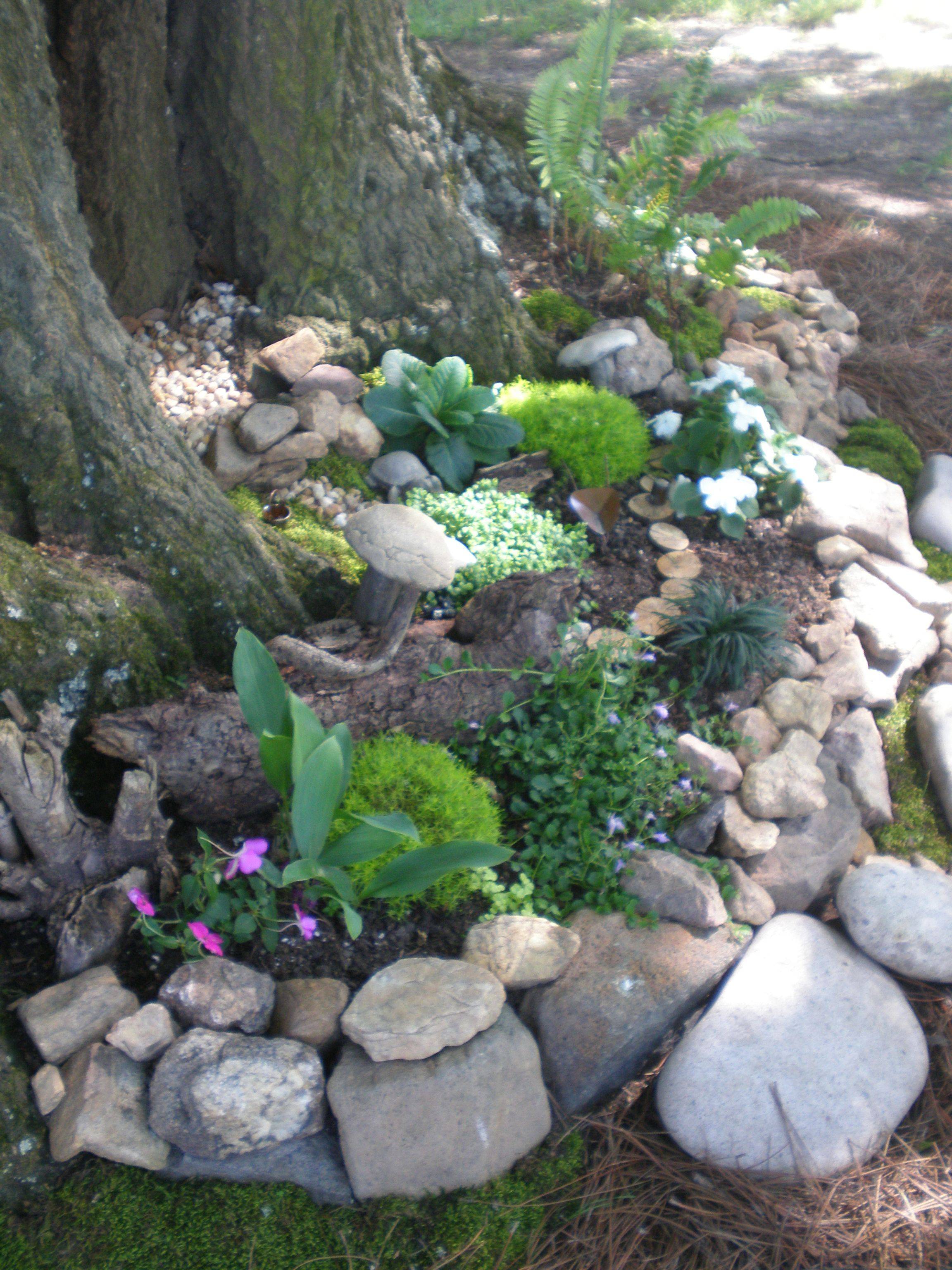 Shade Rock Garden Plants Ideas You Cannot Miss Sharonsable