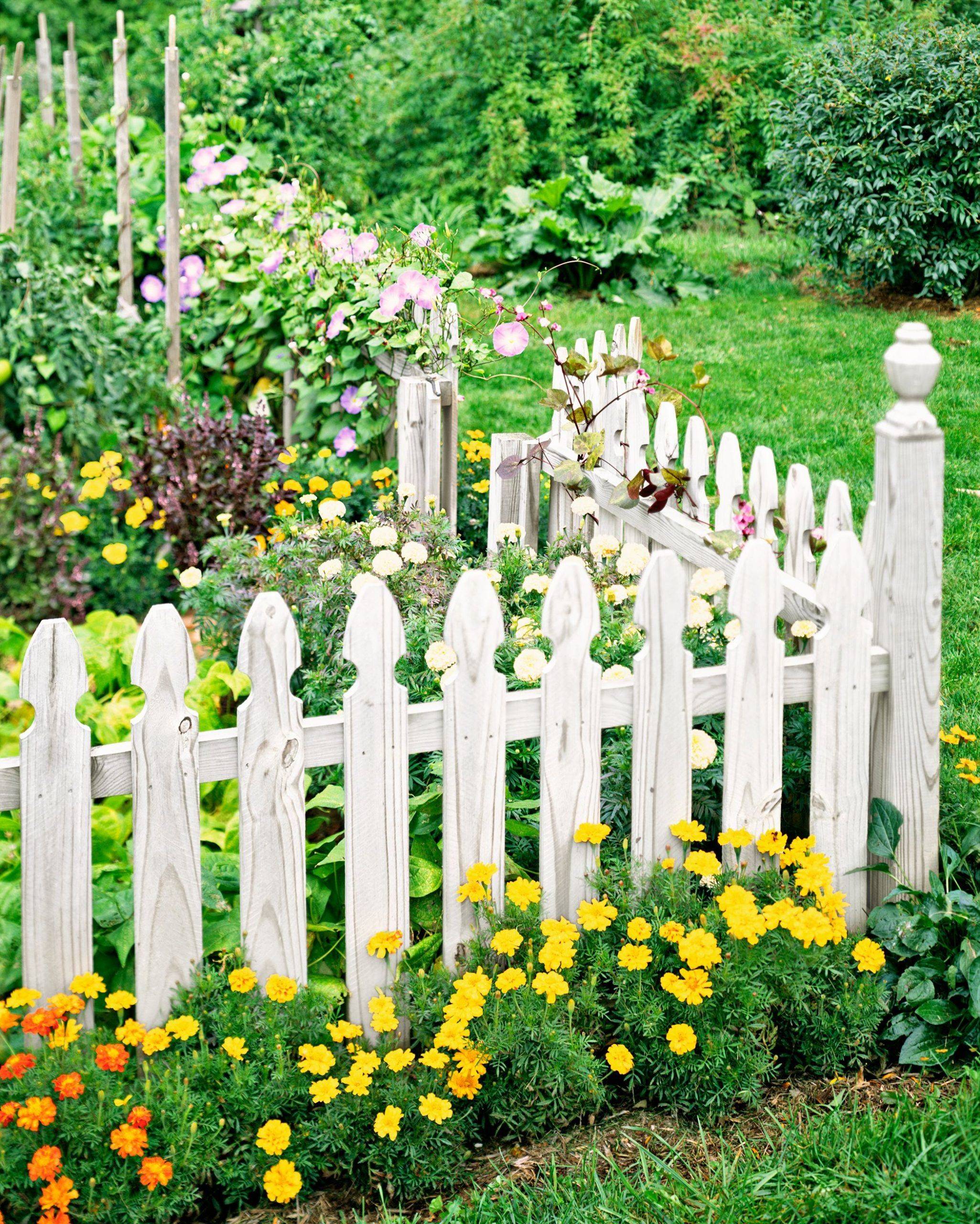 Small White Picket Fence Garden Ideas To Consider Sharonsable