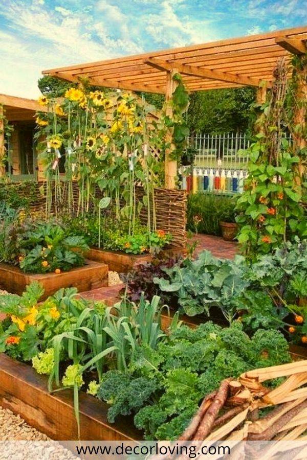 Vegetable Garden Top View Ideas You Cannot Miss Sharonsable