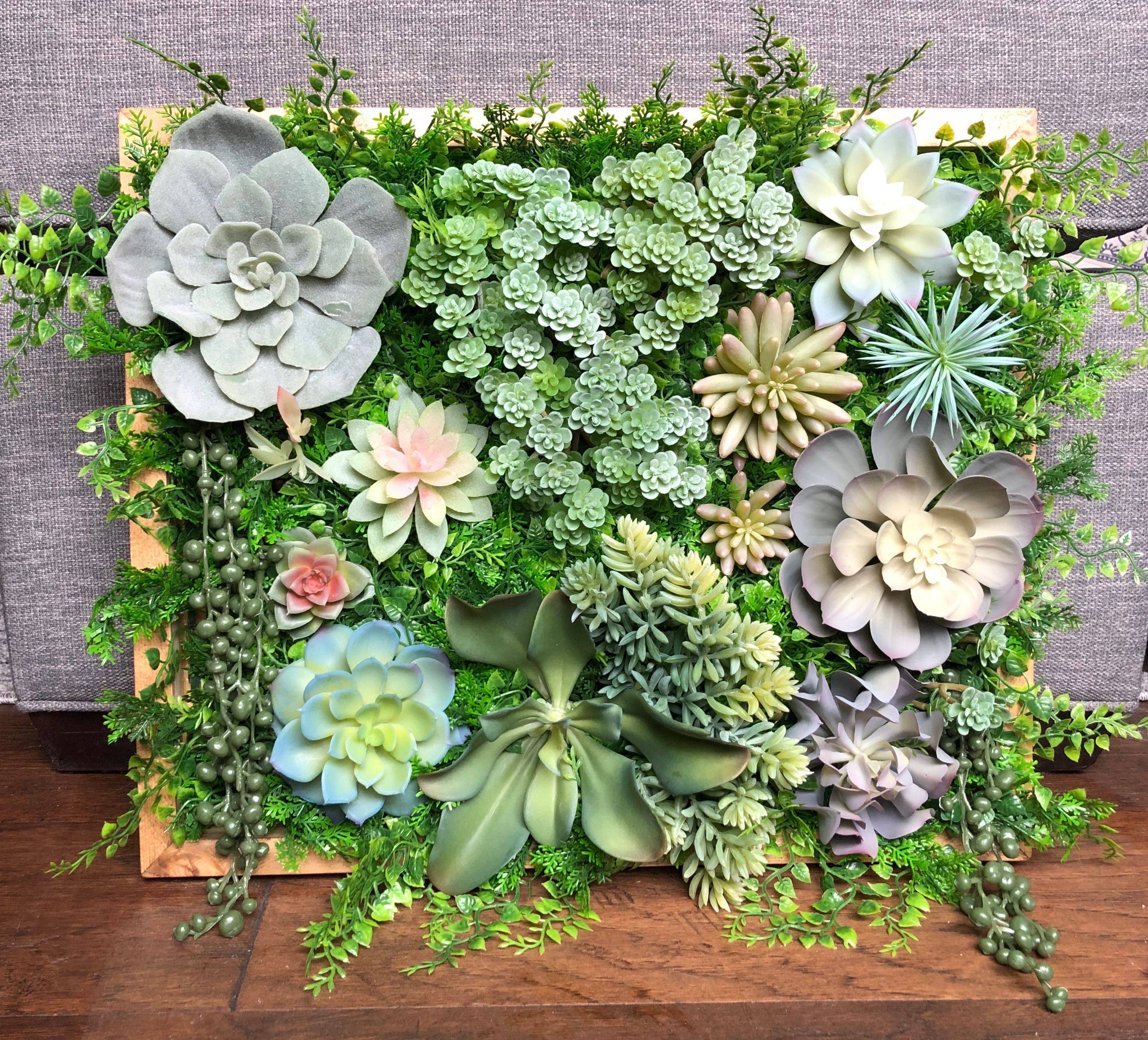 Succulent Wall Garden Ideas You Must Look Sharonsable