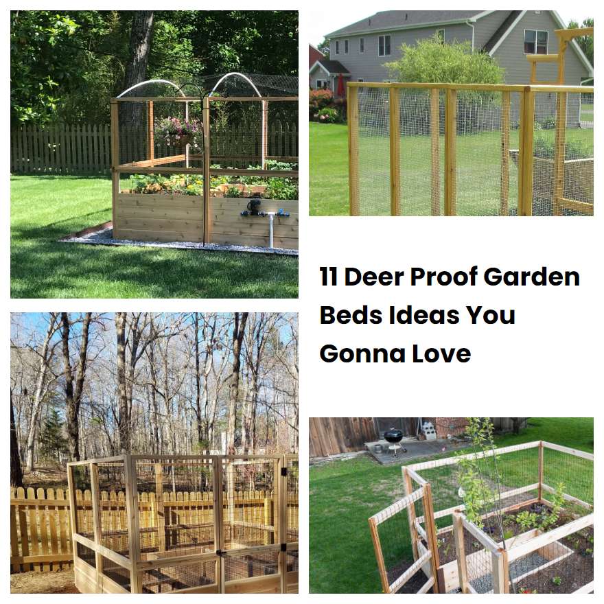 11 Deer Proof Garden Beds Ideas You Gonna Love SharonSable