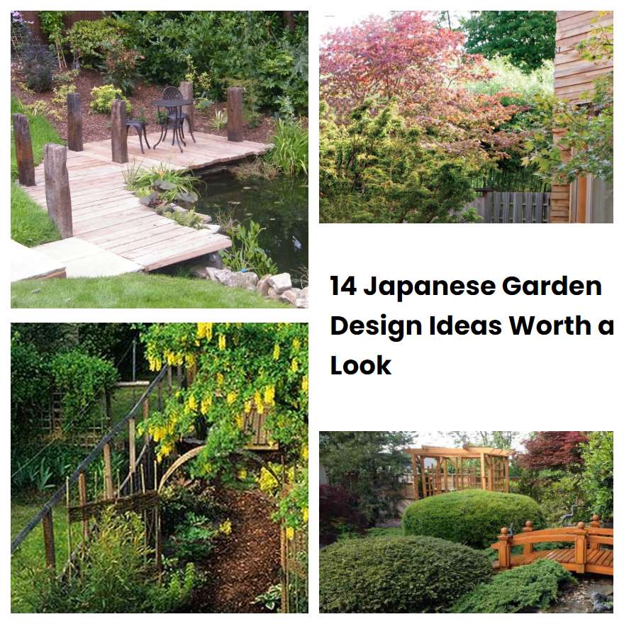 14 Japanese Garden Design Ideas Worth A Look SharonSable