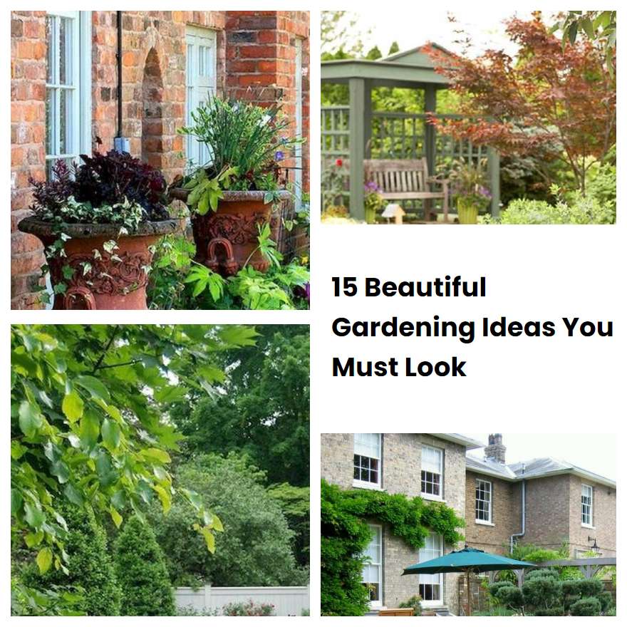 Beautiful Gardening Ideas You Must Look Sharonsable