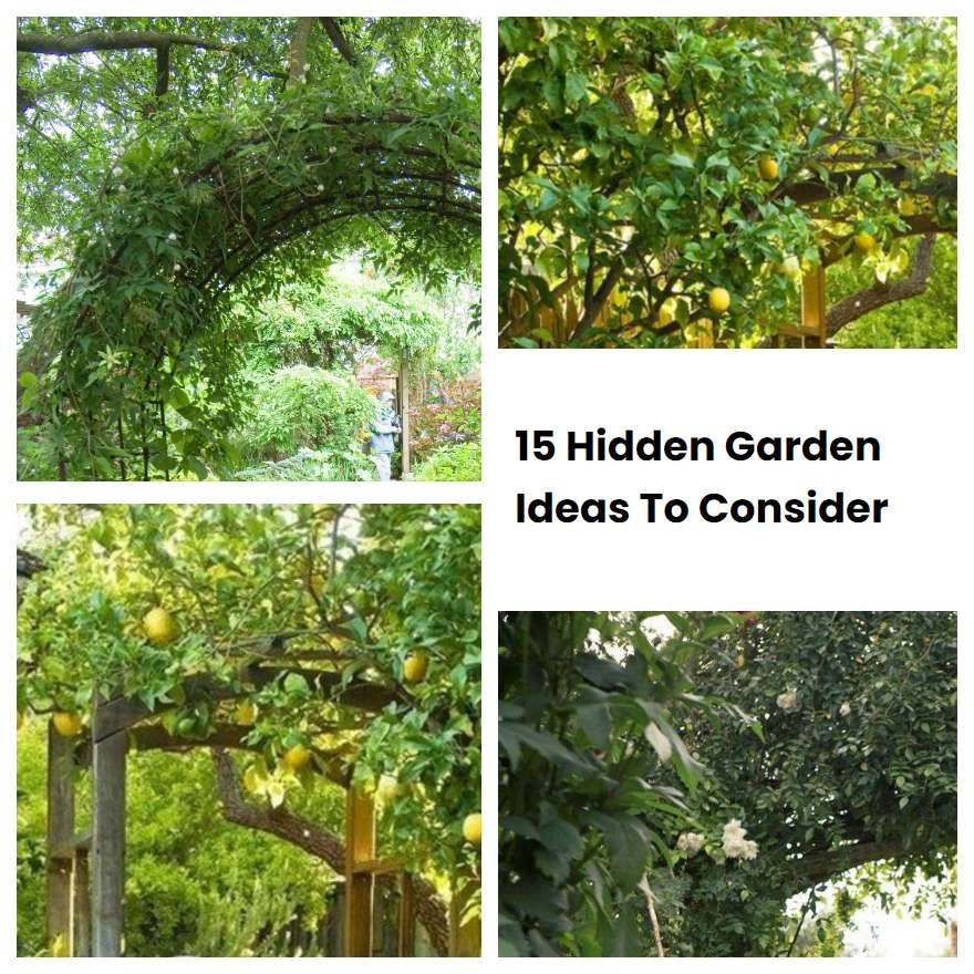 15 Hidden Garden Ideas To Consider SharonSable