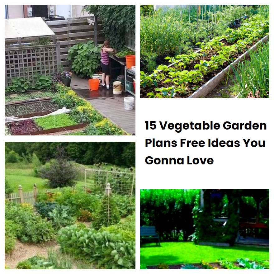 Vegetable Garden Plans Free Ideas You Gonna Love Sharonsable