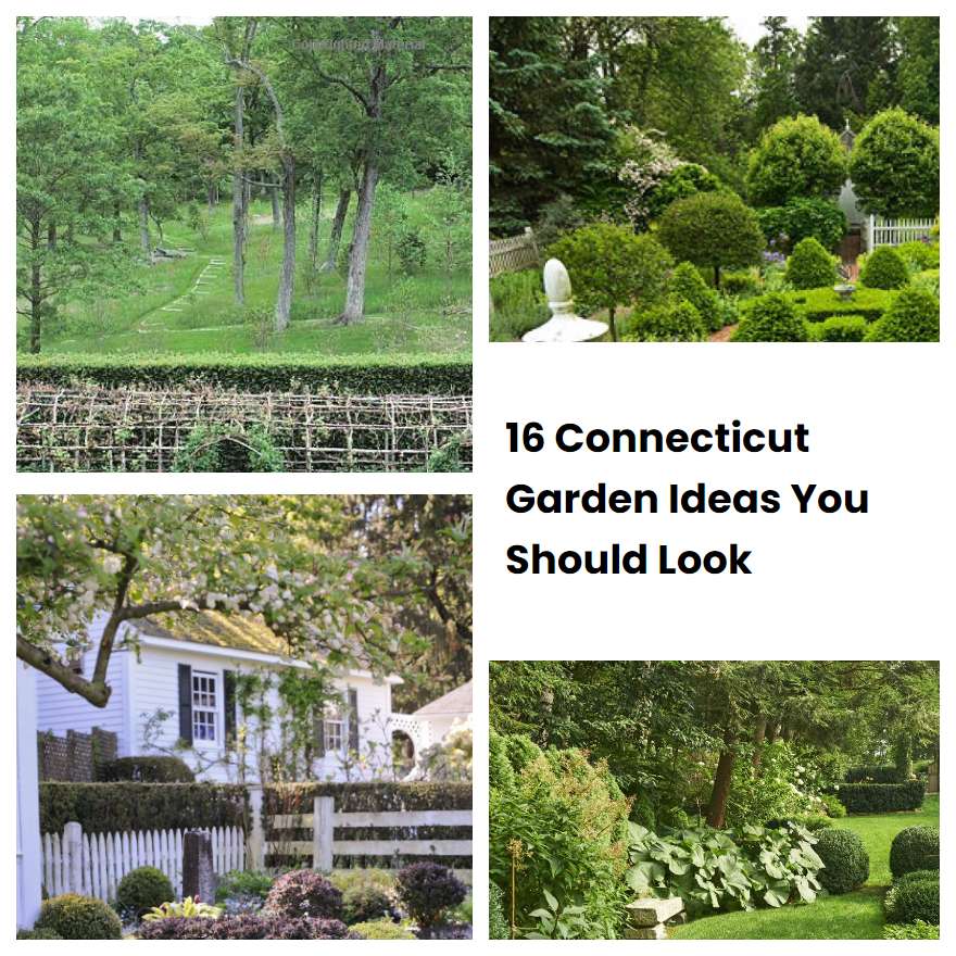 Connecticut Garden Ideas You Should Look Sharonsable