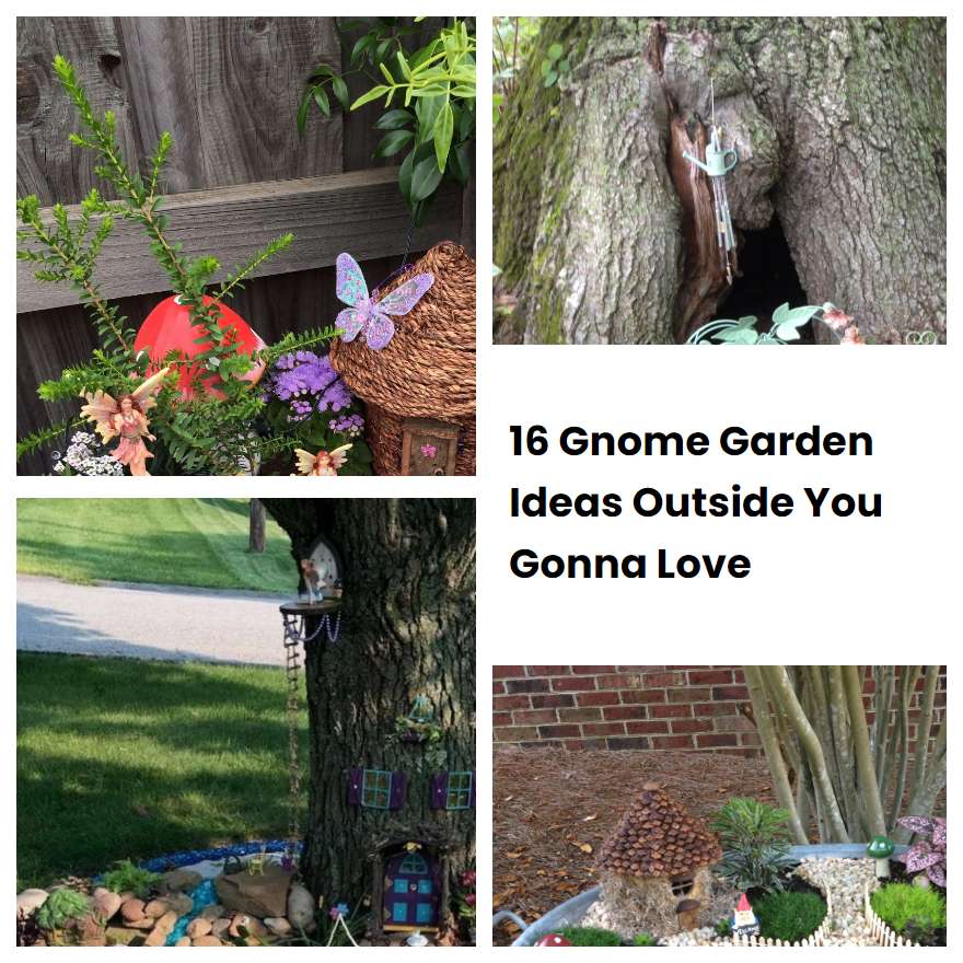 16 Gnome Garden Ideas Outside You Gonna Love SharonSable