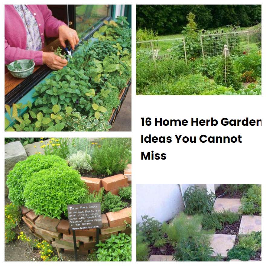 16 Home Herb Garden Ideas You Cannot Miss SharonSable