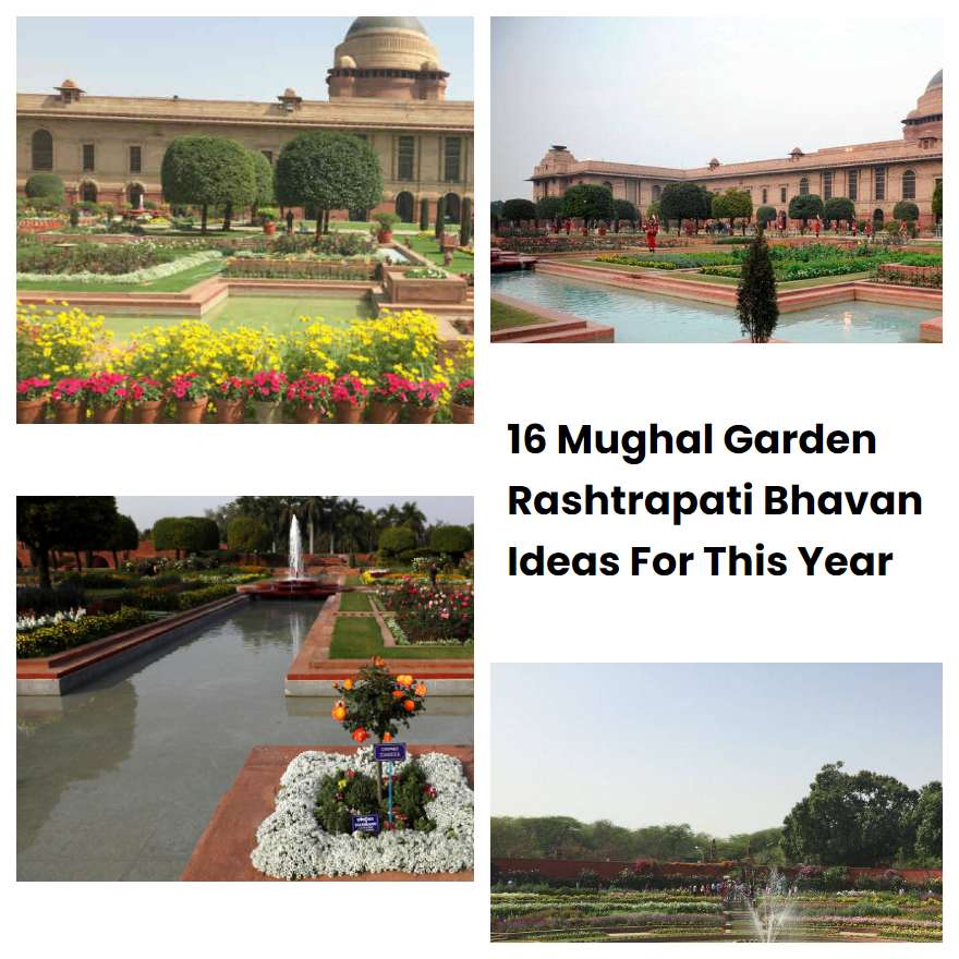 Mughal Garden Rashtrapati Bhavan Ideas For This Year Sharonsable