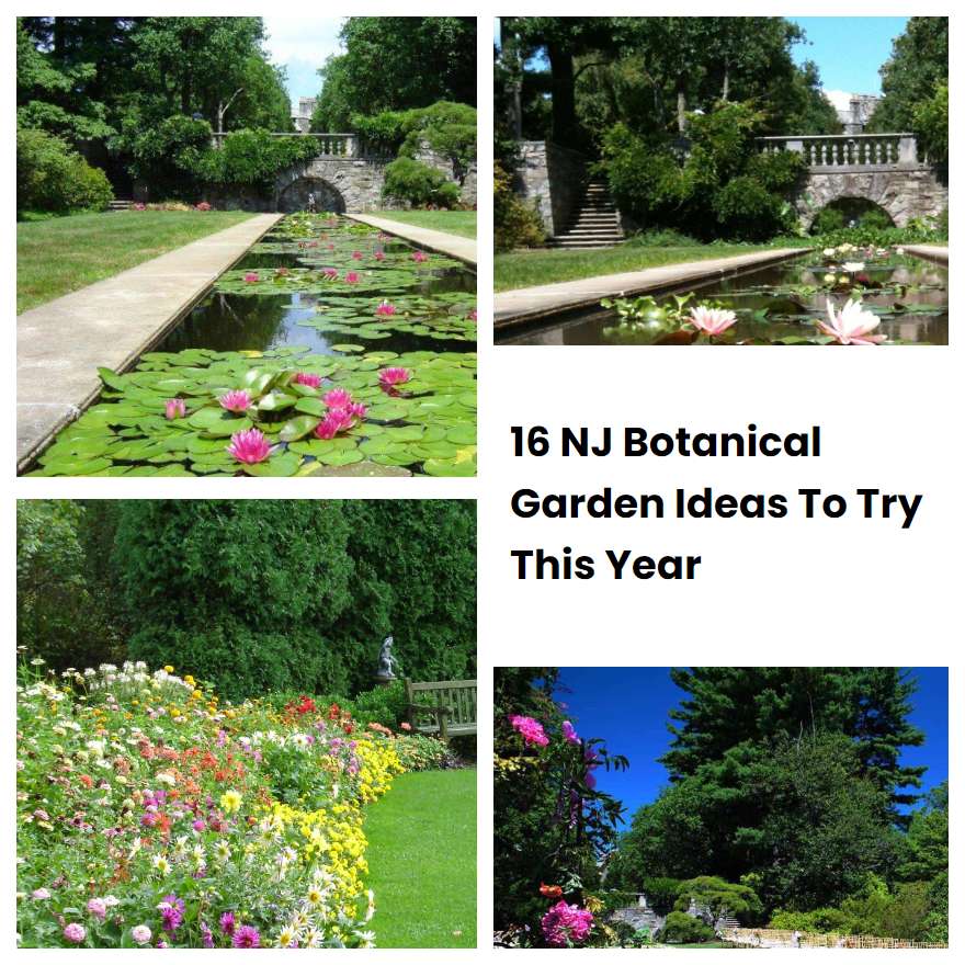 Nj Botanical Garden Ideas To Try This Year Sharonsable