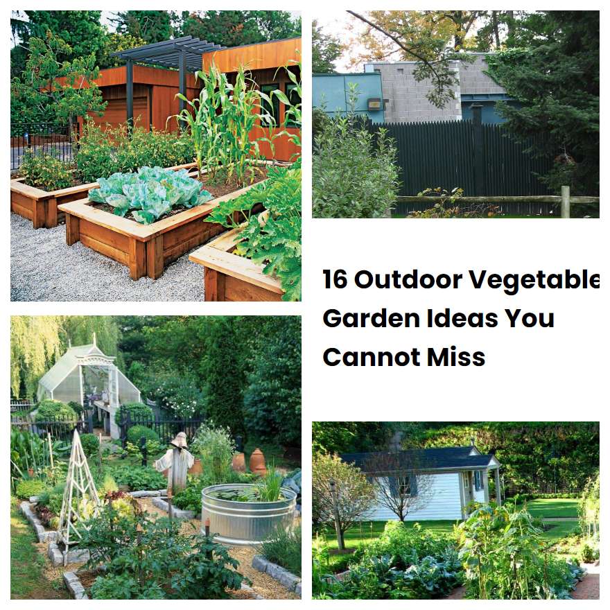 16 Outdoor Vegetable Garden Ideas You Cannot Miss SharonSable