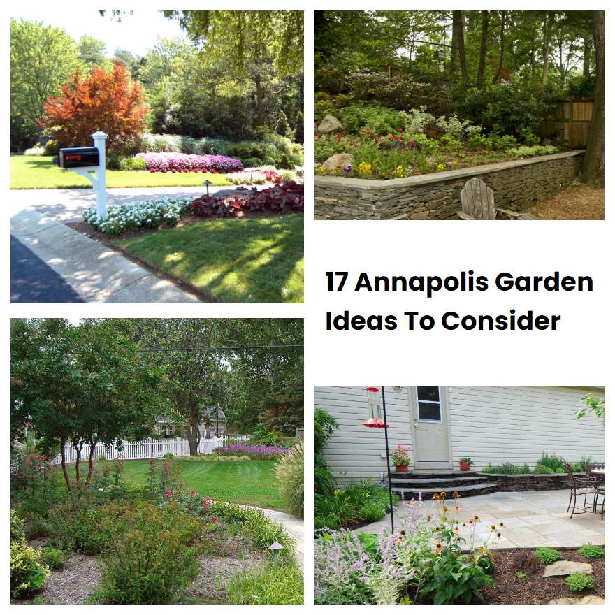 17 Annapolis Garden Ideas To Consider SharonSable