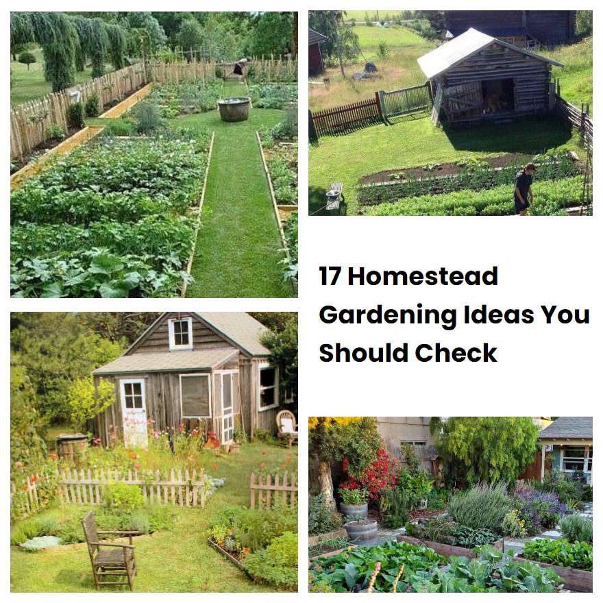 Homestead Gardening Ideas You Should Check Sharonsable