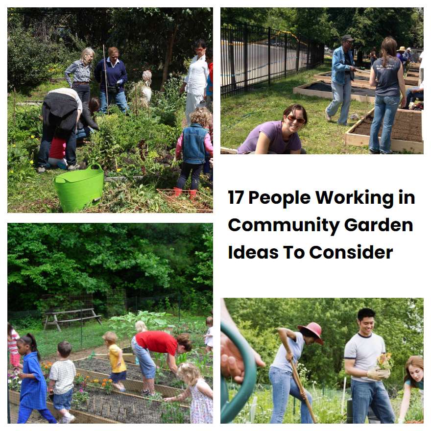 17 People Working In Community Garden Ideas To Consider SharonSable