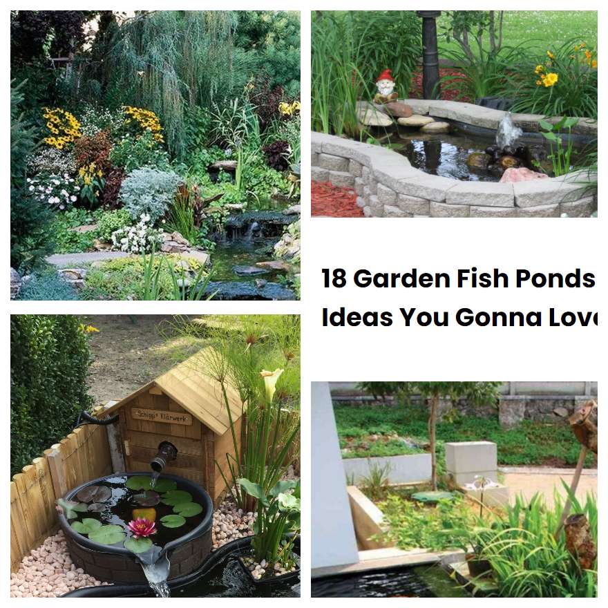 Garden Fish Ponds Ideas You Gonna Love Sharonsable