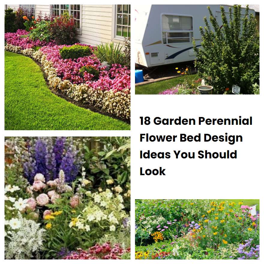 18 Garden Perennial Flower Bed Design Ideas You Should Look SharonSable