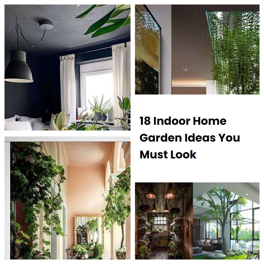 Indoor Home Garden Ideas You Must Look Sharonsable