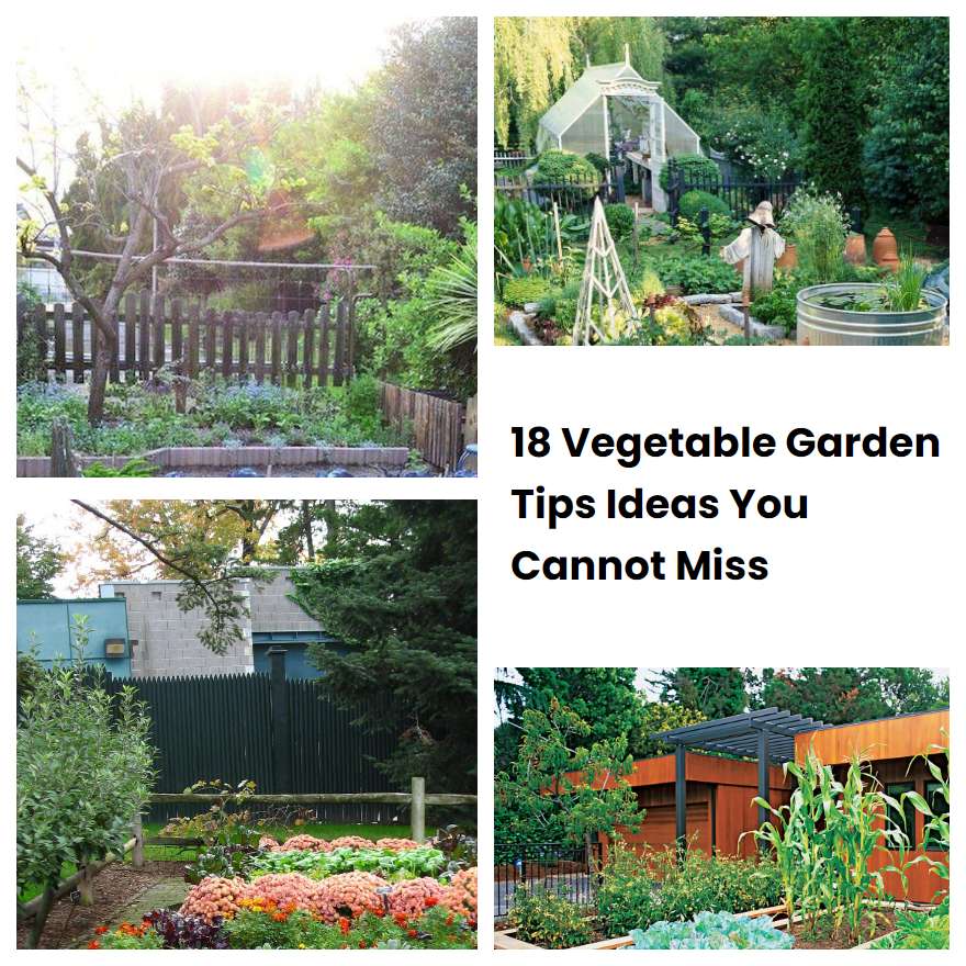 Vegetable Garden Tips Ideas You Cannot Miss Sharonsable