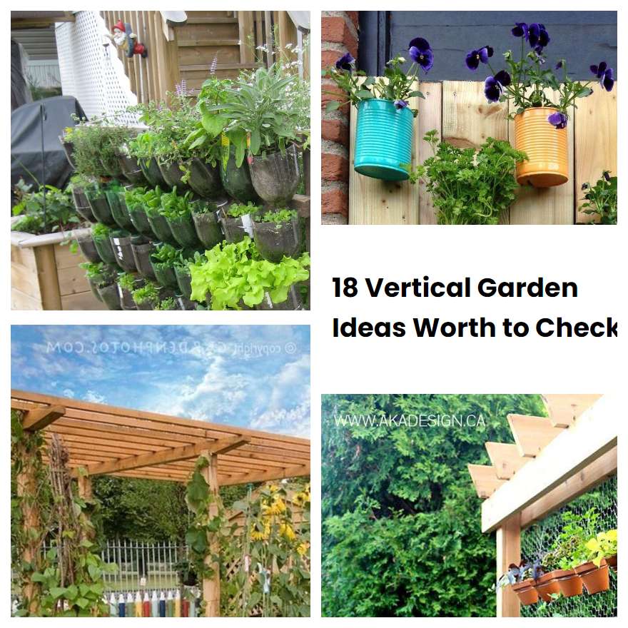 Vertical Garden Ideas Worth To Check Sharonsable