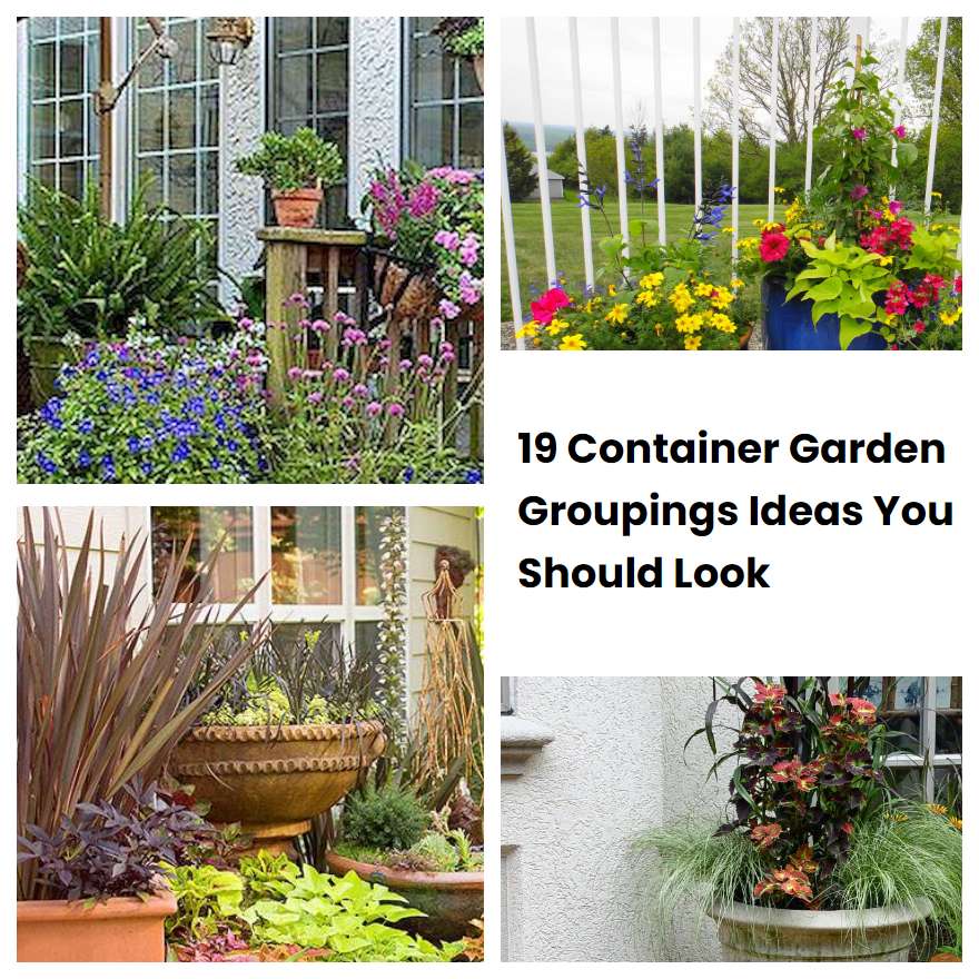 19 Container Garden Groupings Ideas You Should Look SharonSable