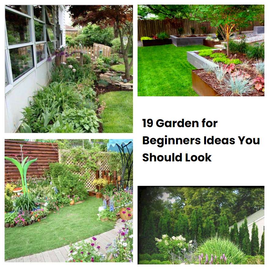 Garden For Beginners Ideas You Should Look Sharonsable