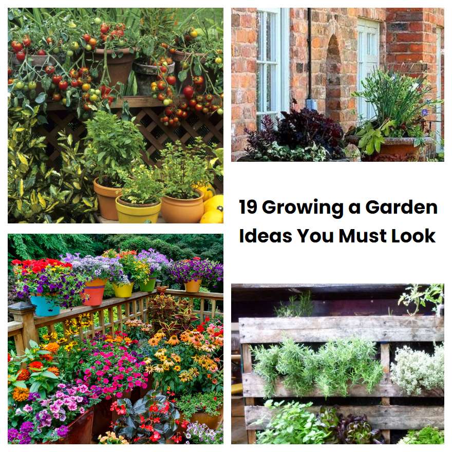 Growing A Garden Ideas You Must Look Sharonsable