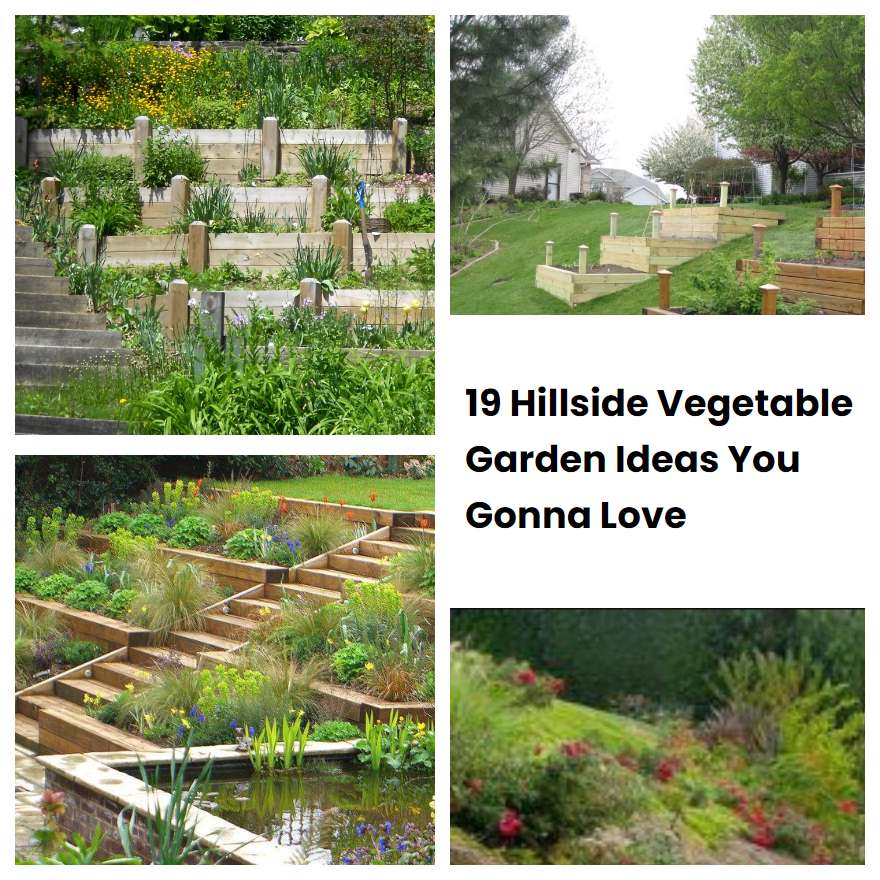 Hillside Vegetable Garden Ideas You Gonna Love Sharonsable