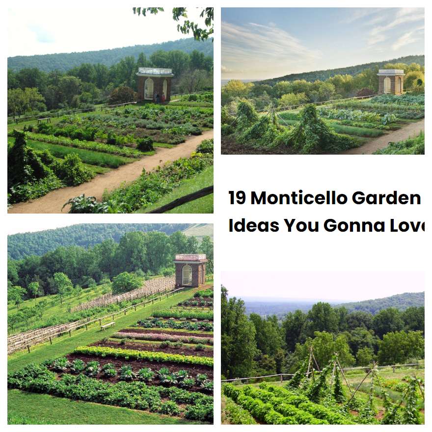 Monticello Garden Ideas You Gonna Love Sharonsable