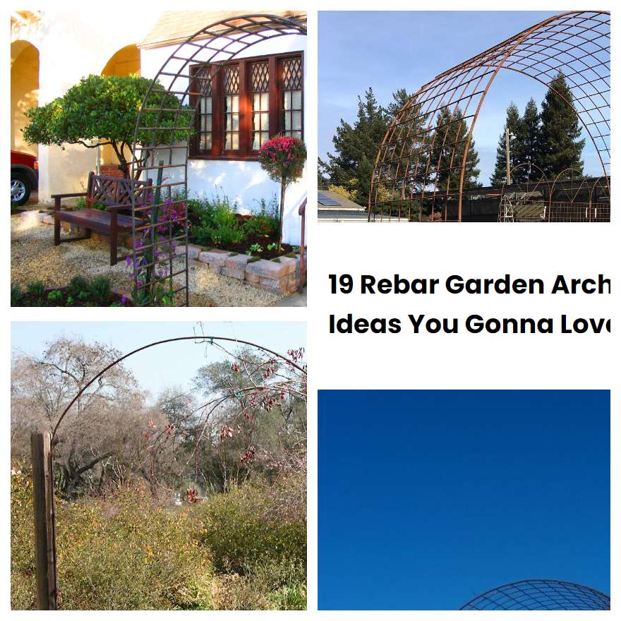 19 Rebar Garden Arch Ideas You Gonna Love SharonSable