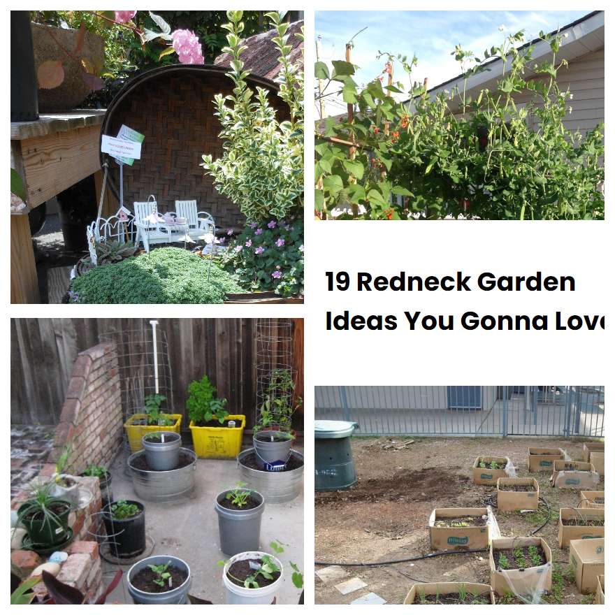 19 Redneck Garden Ideas You Gonna Love SharonSable