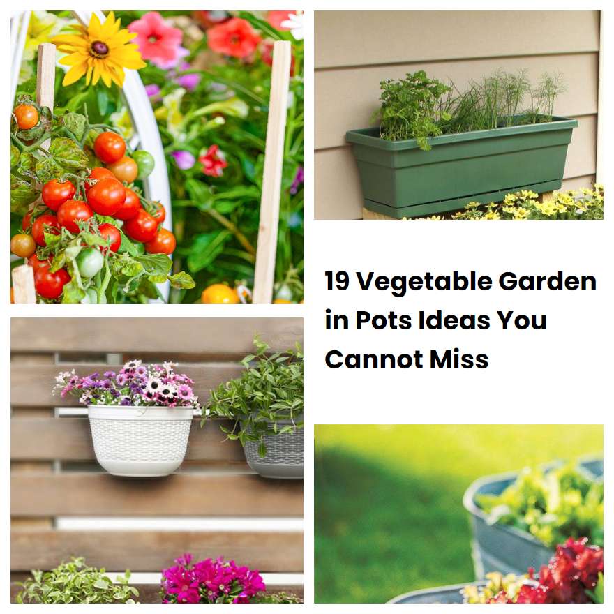 19 Vegetable Garden In Pots Ideas You Cannot Miss SharonSable