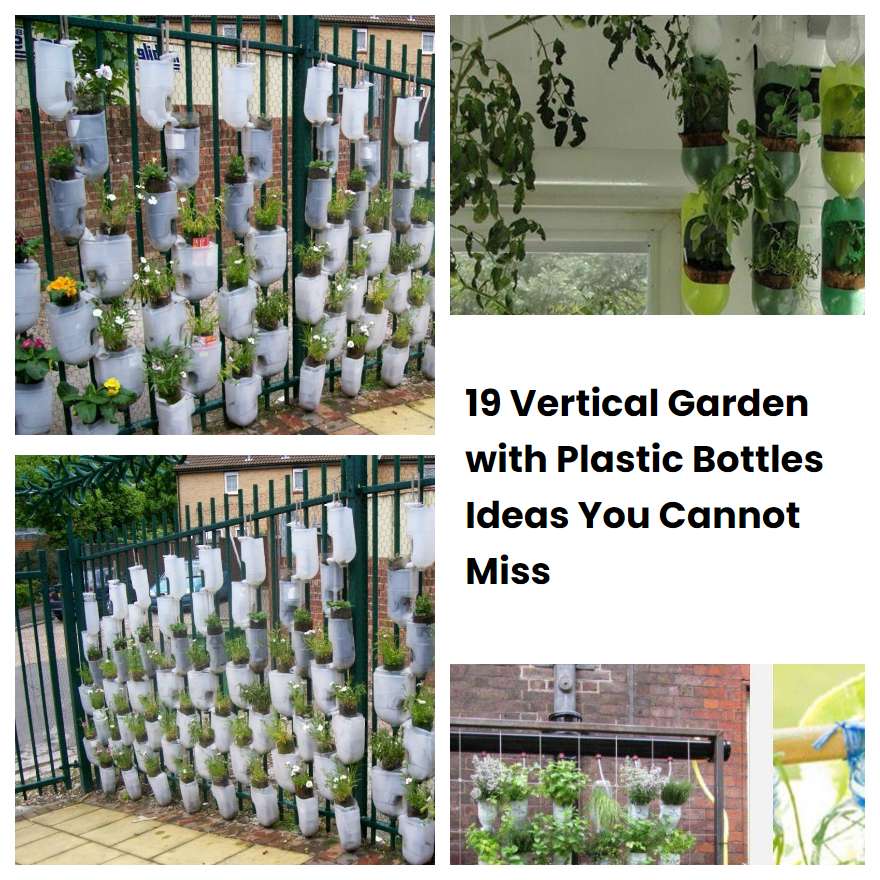 Vertical Garden With Plastic Bottles Ideas You Cannot Miss Sharonsable