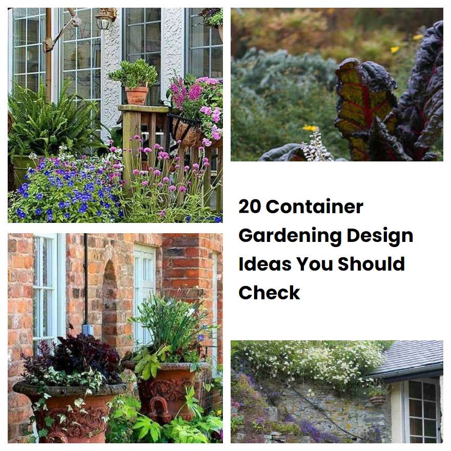 20 Container Gardening Design Ideas You Should Check SharonSable