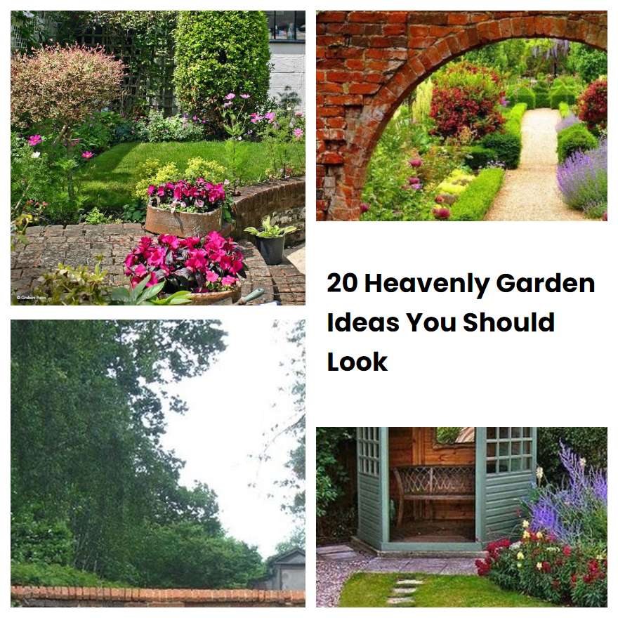 20 Heavenly Garden Ideas You Should Look SharonSable