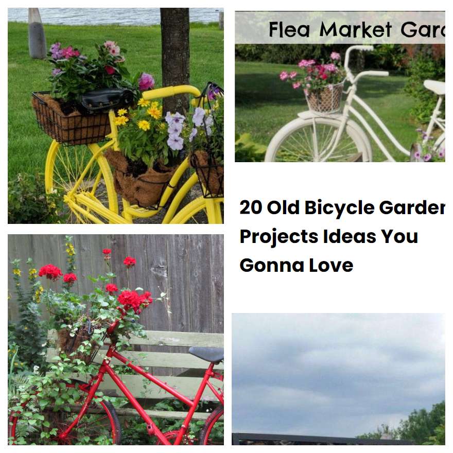 Old Bicycle Garden Projects Ideas You Gonna Love Sharonsable