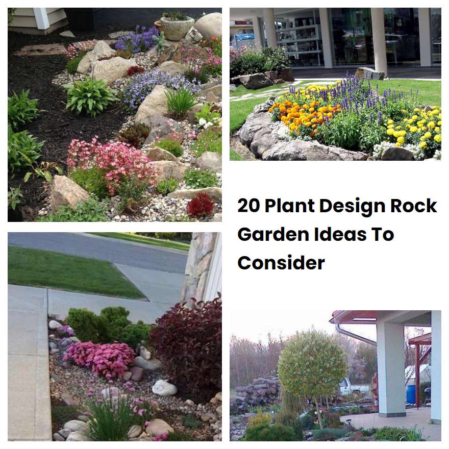 20 Plant Design Rock Garden Ideas To Consider SharonSable